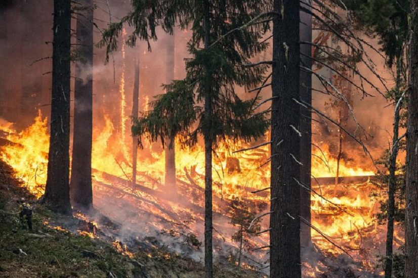 JKDMA forewarns of ‘extreme forest fire’ risk in next 7 days