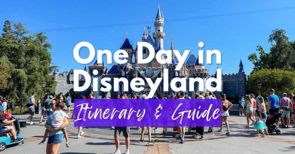One Day in Disneyland Social