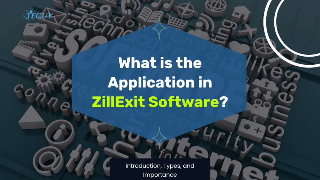 What is the Application in ZillExit Software? Introduction, Types, and Importance