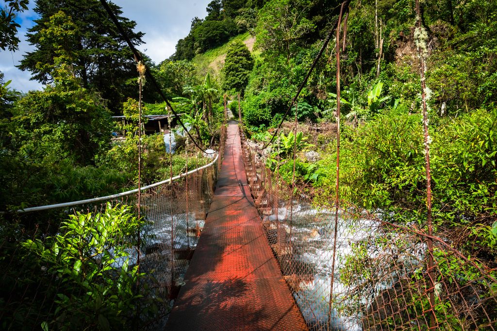 lost waterfalls trail boquete panama