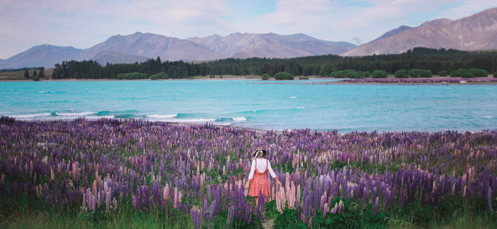 2 Weeks in New Zealand: Itinerary for a Perfect Campervan Road Trip